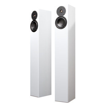 Haut-parleurs de plancher Totem | Arro (Paire)  Haut-parleurs de plancher Totem | Arro (Paire)