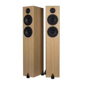 Haut-parleurs de plancher Totem | Bison Twin Tower  Haut-parleurs de plancher Totem | Bison Twin Tower