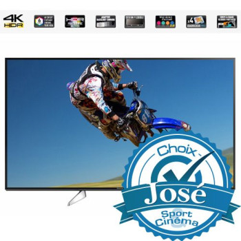 Panasonic TC65EX600 | Téléviseur 4K DEL HDR 65" 