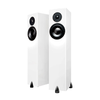 Haut-parleurs de plancher Totem | Forest (Paire) 