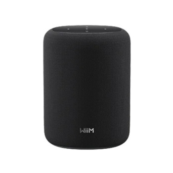 Haut-parleur sans fil intelligent WiiM | Sound Lite 