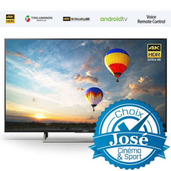 Sony XBR43X800E | Téléviseur 4K DEL 43" 