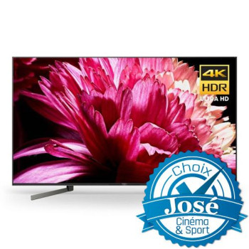 Sony XBR65X950G | Téléviseur 4K DEL 65" 