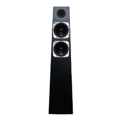 Haut-parleurs de plancher Totem | Tribe Tower Thunderbird 