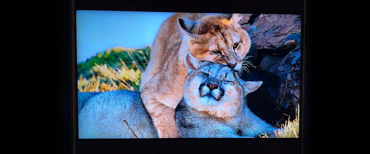 Téléviseur Sony Bravia 9