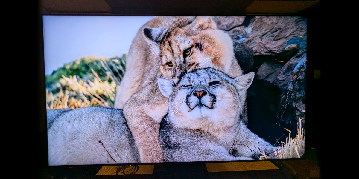 Téléviseur Samsung Neo QLED 8K QN800D