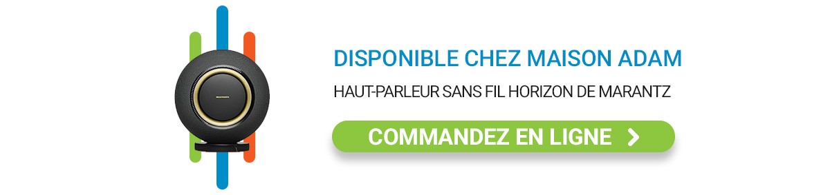 Haut-parleur portatif Bose Revolve II Cambridge EVO ONE