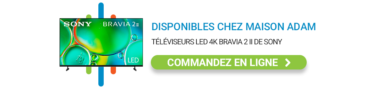 Téléviseur Samsung Neo QLED 8K QN800A Bravia 2 - Sony