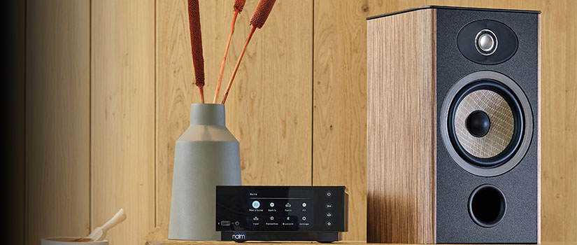 Focal Aria Evo X N1