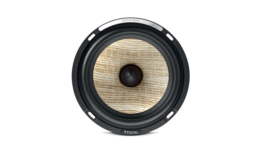 Focal Aria Evo X N1