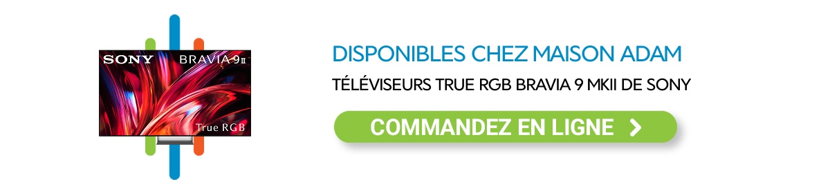 Téléviseur Samsung Neo QLED 8K QN800A Téléviseur rgb 4k sony bravia 9 mkii