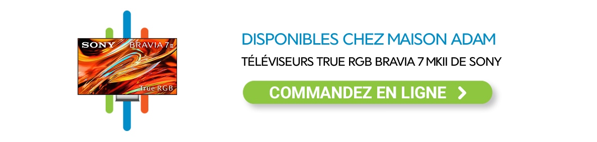 Téléviseur Samsung Neo QLED 8K QN800A Téléviseur rgb 4k sony bravia 7 mkii